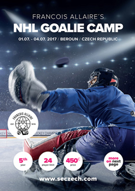 FA NHL Goalie Camp